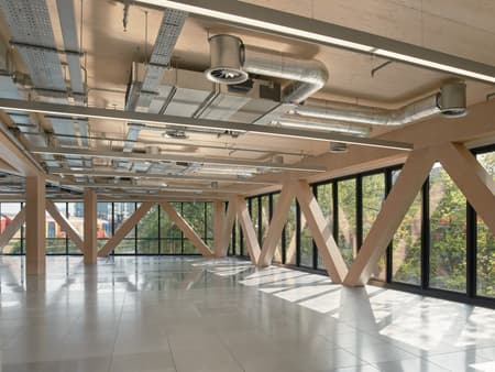 Paradise SE11 Mass Timber Office